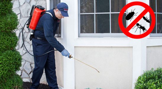 Çamdibi Fare İlaçlama böcek ilaçlama ve haşere kontrolü — ilaclama-tr.com